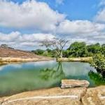 Iyake Lake in Iseyin: The World’s Second Suspended Lake and Its Untapped Tourism Potential